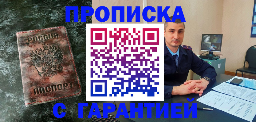 прописка 2025 в Елизово